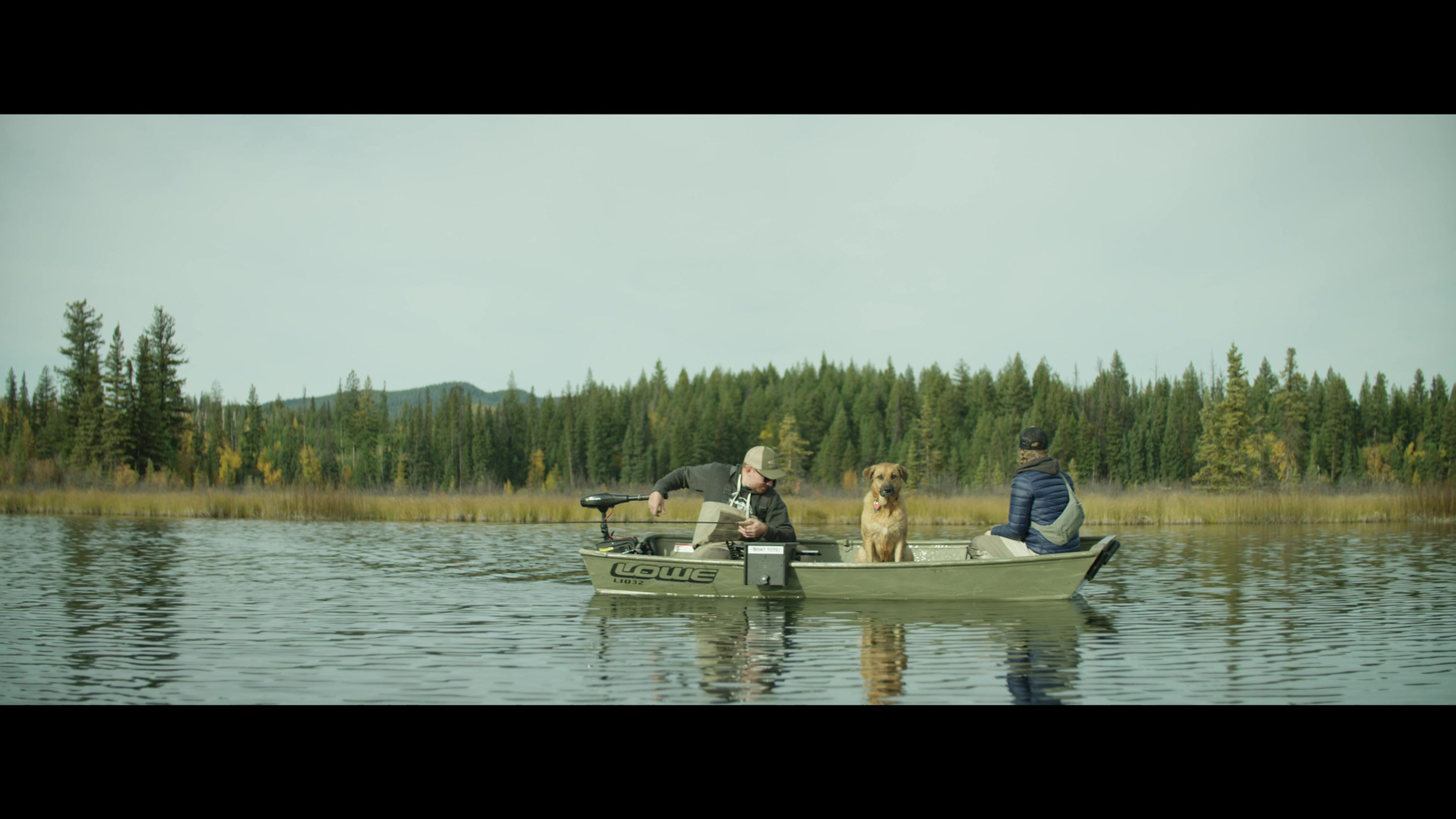 Wild Rainbow Trout On The Fly